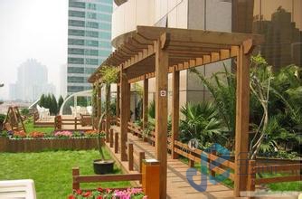 ���Ѽ�ϵ��